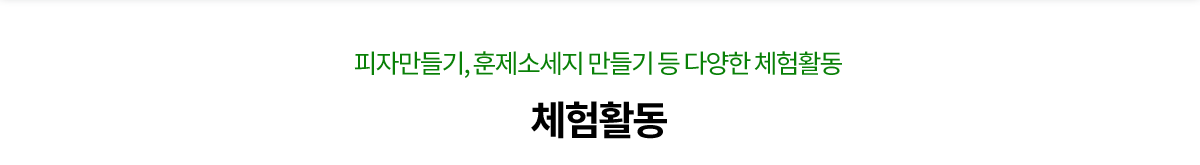 체험활동/행사